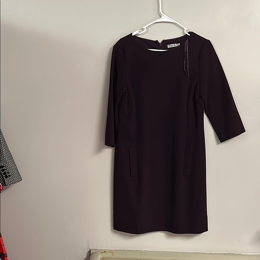Elegant Wine Dress